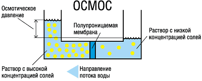 Наномембрана и обратный осмос что лучше